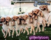 uncogo.gif